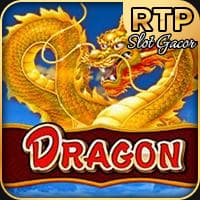 RTP jdb  wiseplay138