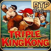 RTP jdb  wiseplay138